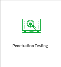 Penetration Testing