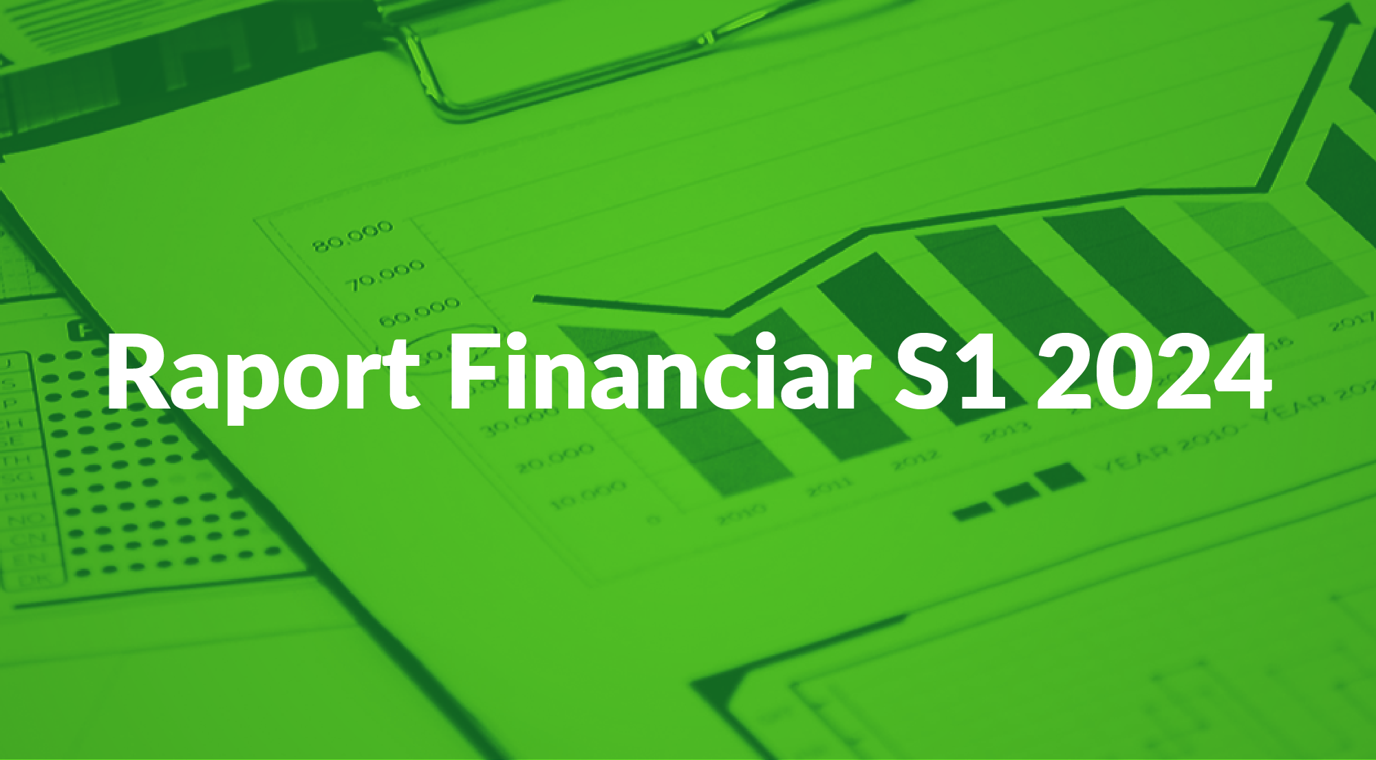 Raport Financiar S1 2024-02