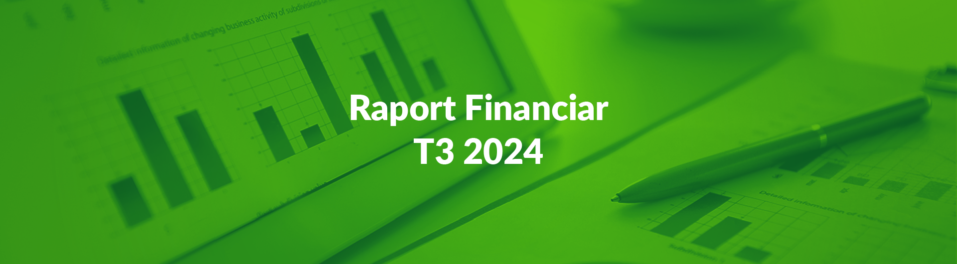 Raport financiar T3 2024